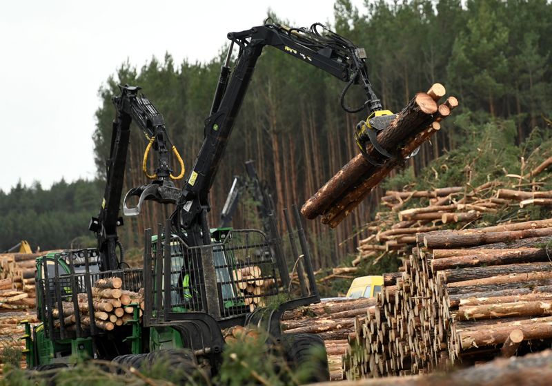 © Reuters. A worker clears trees at the area where U.S. electric vehicle pioneer Tesla plans to build a Gigafactory in Gruenheide