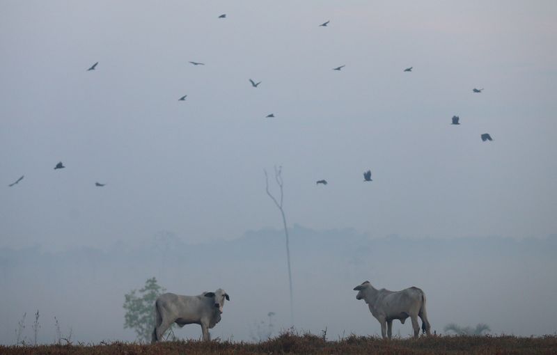 Presidente do ICMBio confirma ida a reunião com pecuaristas que querem produzir em reserva e MP reage