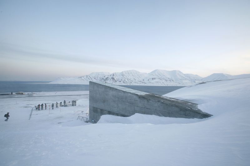 'Doomsday' food vault in the Arctic to welcome one millionth crop seed variety