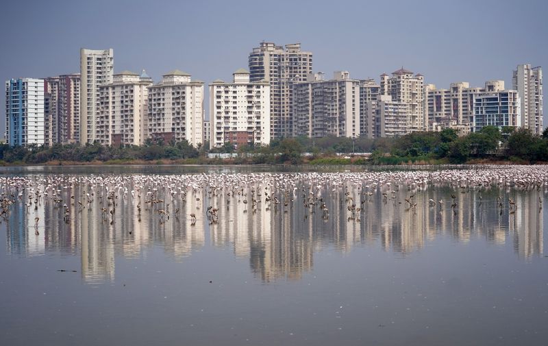 India housing market to keep struggling this year: Reuters poll