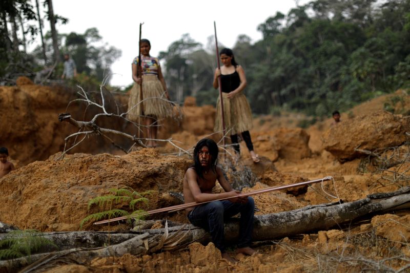 Brasil exportó miles de cargamentos de madera no autorizada de la Amazonia