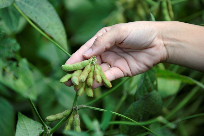 U.S. senator's trade advice to EU: Keep calm and put agriculture on the table