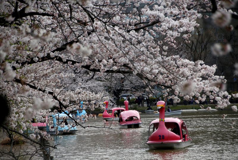 © Reuters. 82カ所で花見宴会の自粛要請、上野など東京都管理の公園や河川敷