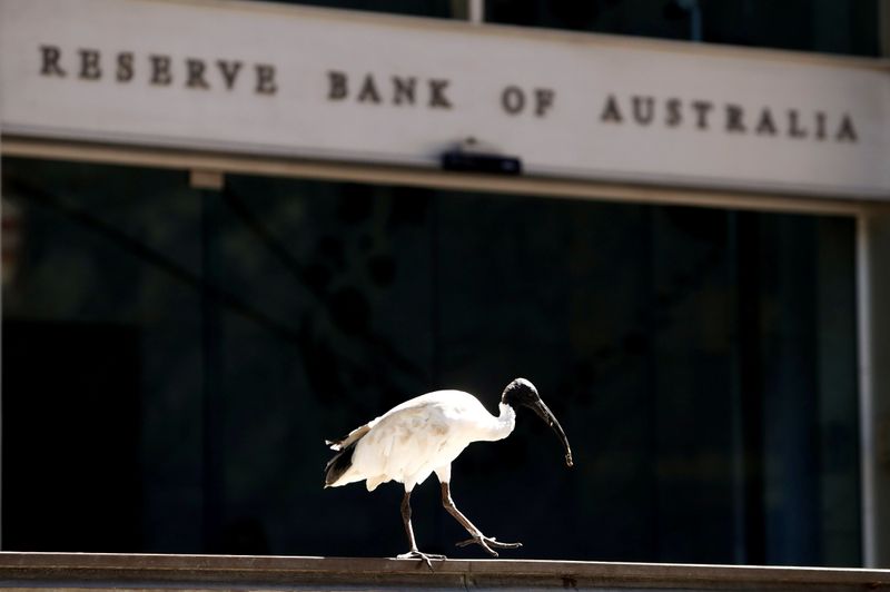 © Reuters. FILE PHOTO: An ibis bird perches next to the Reserve Bank of Australia headquarters in central Sydney
