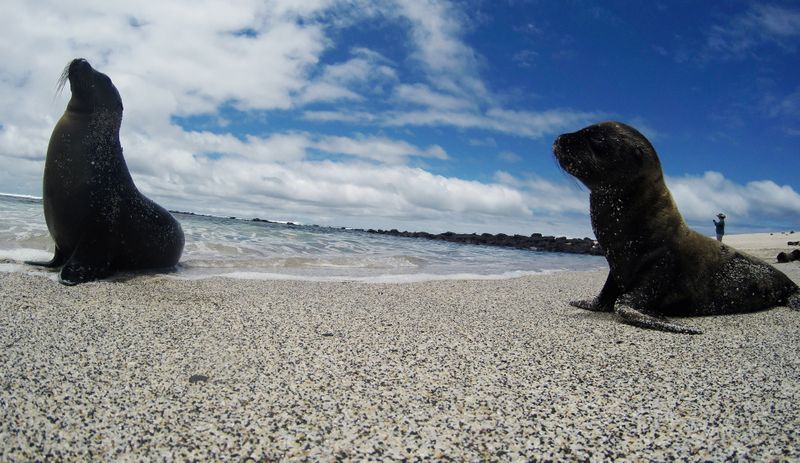 Equador restringe visitas a Galápagos devido a coronavírus