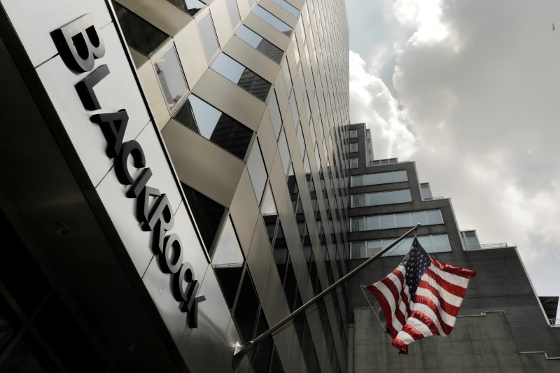 BlackRock stands by climate priorities, sees tougher shareholder votes