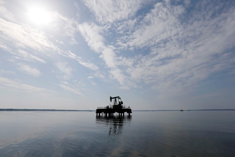 &copy; Reuters. An oil pump jack of Canadian group Vermilion Energy is pictured in Parentis-en-Born
