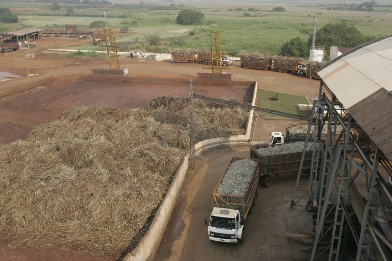 © Reuters. Usina de processamento de cana em Sertãozinho (SP)