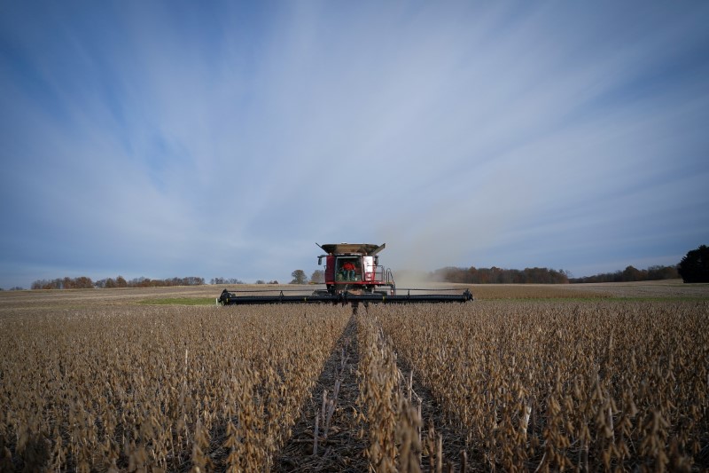 &copy; Reuters. FILE PHOTO: Soybeans are harvested from a field on Hodgen Farm in Roachdale