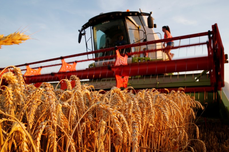 &copy; Reuters. Agricultor colhe trigo no norte da França