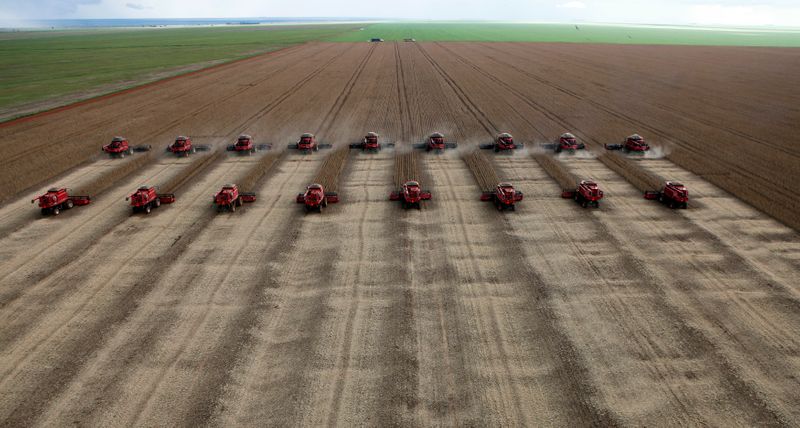 © Reuters. Colheita de soja em Tangará da Serra (MT)