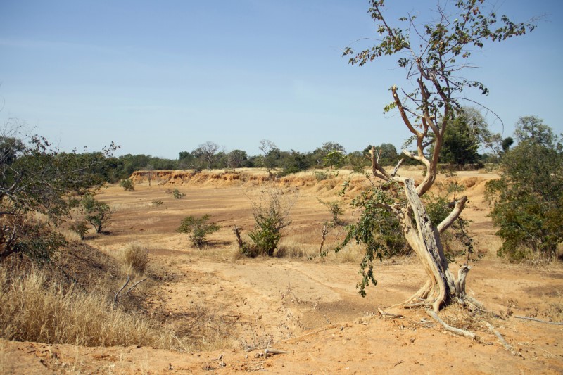 &copy; Reuters. LA FRANCE ET SES ALLIÉS FORMENT OFFICIELLEMENT LA FORCE TAKUBA AU SAHEL