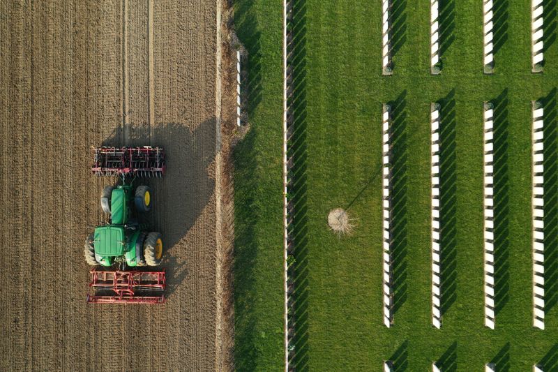 &copy; Reuters. CORONAVIRUS: DES RÉFUGIÉS &quot;MOBILISÉS&quot; AUPRÈS DES AGRICULTEURS EN SEINE-ET-MARNE