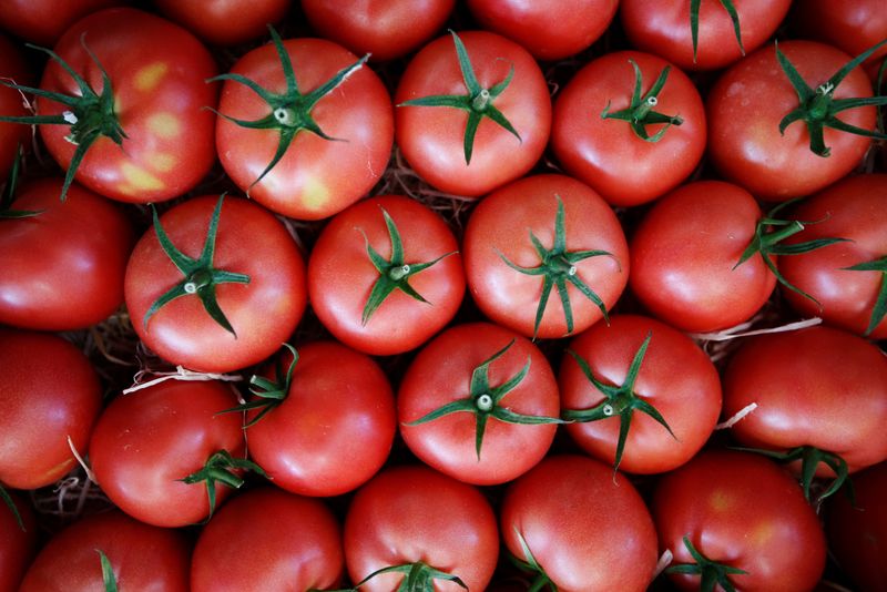 © Reuters. Los tomates se exhiben para la venta en un mercado regional en Laprade