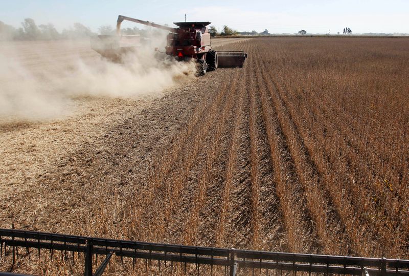 © Reuters. Colheita de soja em Chacabuco, Argentina