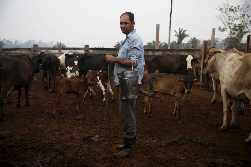 © Reuters. Produtor de leite em Rio Pardo (RO)