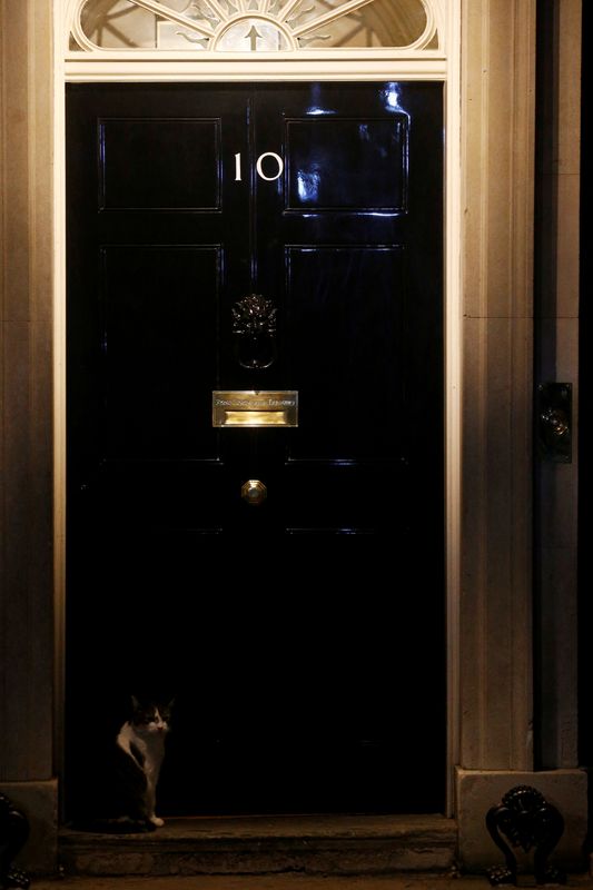 &copy; Reuters. El gato Larry se sienta frente al 10 de Downing Street en Londres, Gran Bretaña, después de que el primer ministro británico, Boris Johnson, fue admitido en el hospital tras sufrir síntomas persistentes de coronavirus (COVID-19)
