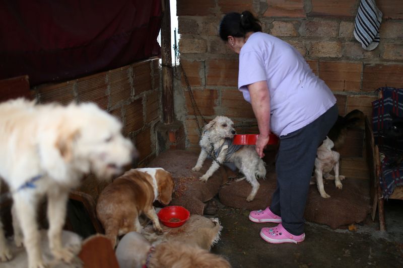 &copy; Reuters. Blanca Rodríguez cuida de animais em abrigo de Bogotá
