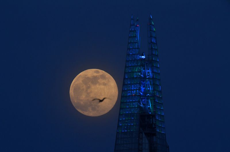 © Reuters. The Supermoon visible over Britain