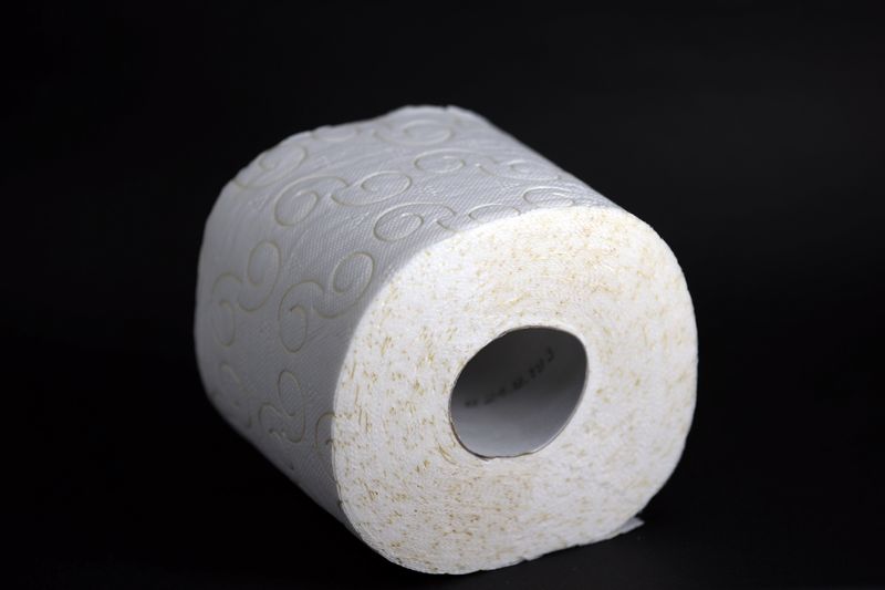 © Reuters. FILE PHOTO:  Toilet Paper is seen in this illustration taken