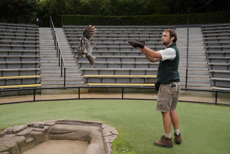 &copy; Reuters. Operations continue at Taronga Zoo Sydney amidst public closure due to the coronavirus disease in Sydney