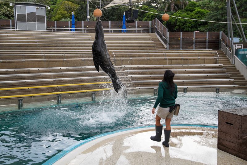 © Reuters. Operations continue at Taronga Zoo Sydney amidst public closure due to the coronavirus disease in Sydney