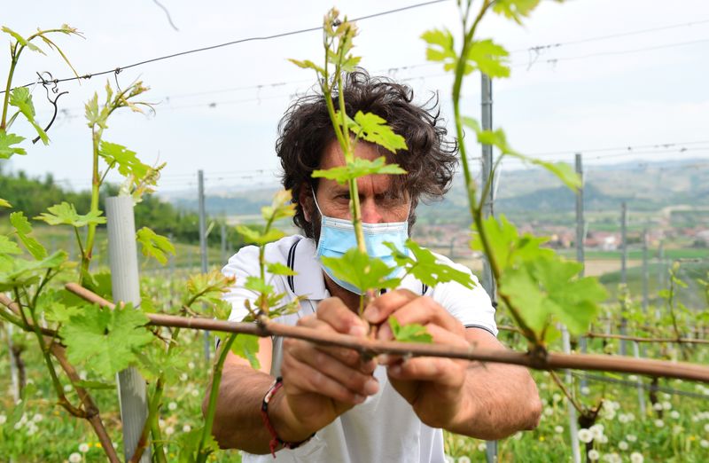 &copy; Reuters. FILE PHOTO: Spread of the coronavirus disease (COVID-19) in the Langhe-Roero area