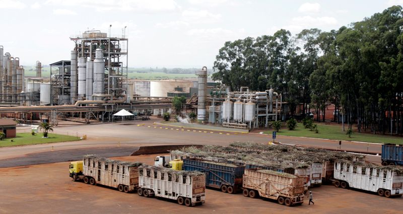 © Reuters. Usina de processamento de cana-de-açúcar em Sertãozinho (SP)