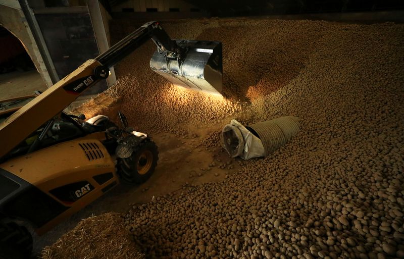 &copy; Reuters. A farmer works among tons of potatoes part of which is leftover due to the closure of restaurants and borders following the coronavirus disease (COVID-19) outbreak, near the city of Moucron