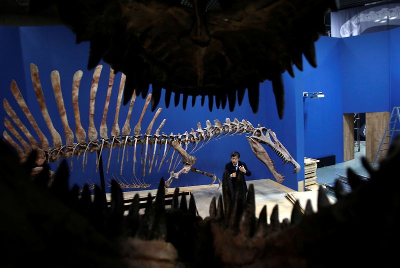 © Reuters. FILE PHOTO: Manabe, a researcher at the National Museum of Nature and Science, speaks to reporters in front of a Spinosaurus's skeleton replica during a preparation and media preview for the Dinosaur EXPO in Tokyo