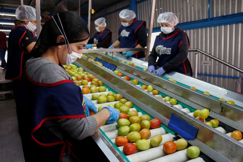 Mexican farmers give away tomatoes as demand squashed by coronavirus