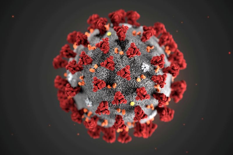 &copy; Reuters. Ilustração feita pelo Centro de Prevenção e Controle de Doenças dos EUA representando o novo coronavírus
