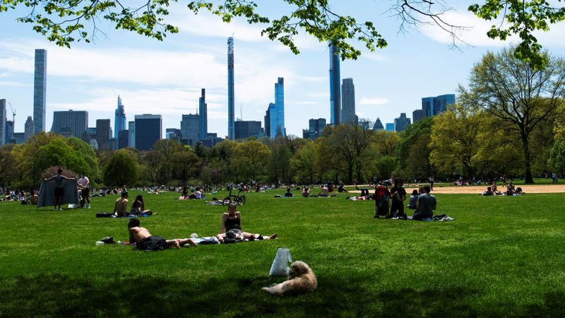 &copy; Reuters. The spread of the coronavirus disease (COVID-19) in New York