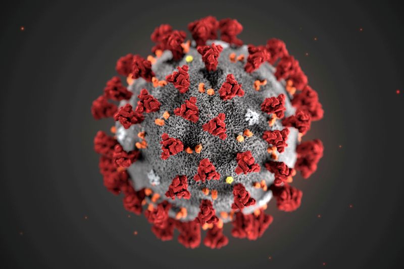 &copy; Reuters. FILE PHOTO: An illustration, created at the Centers for Disease Control and Prevention (CDC), depicts the 2019 Novel Coronavirus