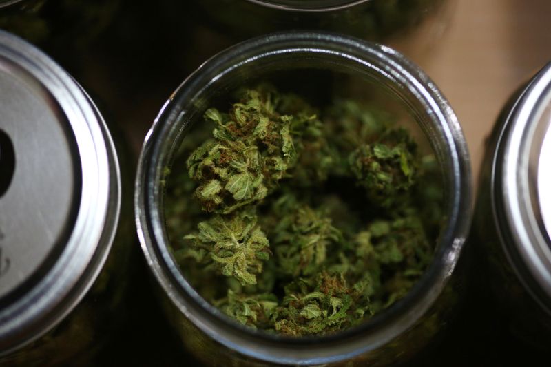 © Reuters. FILE PHOTO: Mobile research lab to study effects of cannabis in Colorado