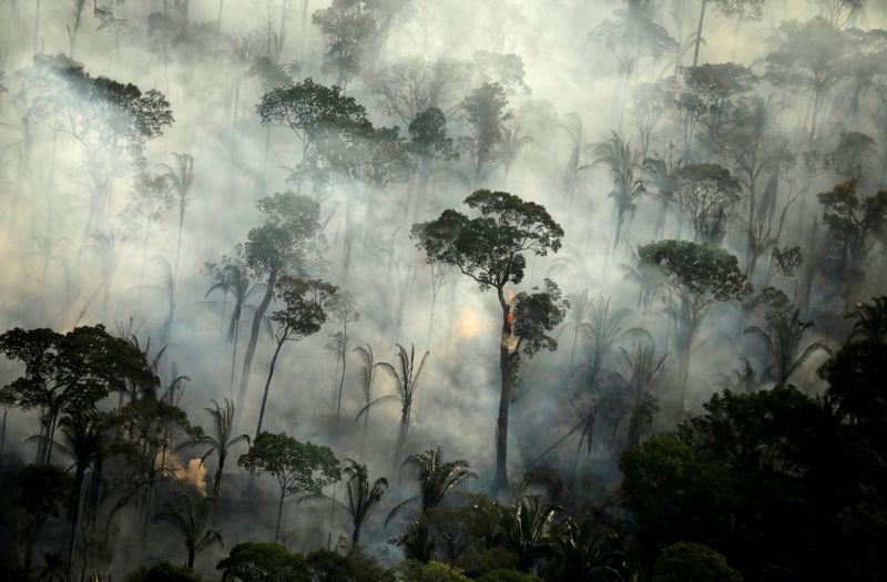 &copy; Reuters. FOTO DE ARCHIVO: Un incendio en la Amazonía cerca de Puerto Velho