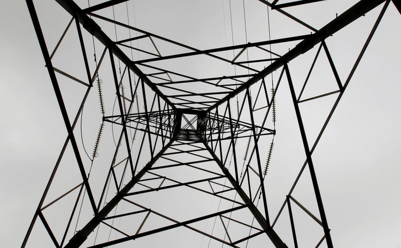 © Reuters. FILE PHOTO: A high voltage electrical pylon stands on the outskirts of Kenya's capital Nairobi