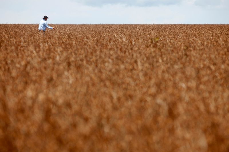 &copy; Reuters. Agricultor em meio a plantio de soja em Tangará da Serra (MT)