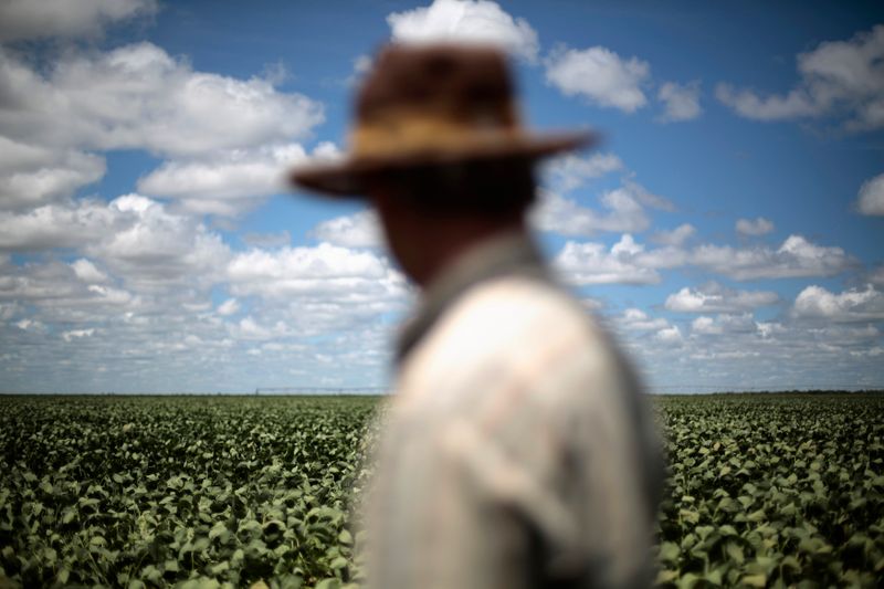 © Reuters. Agricultor observa plantio de soja em Barreiras (BA)