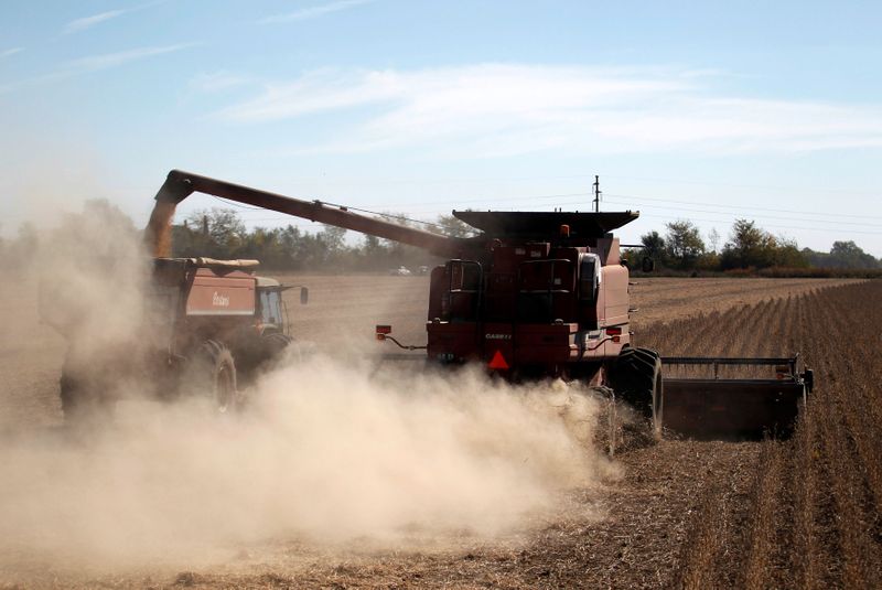 © Reuters. Colheita de soja em Chacabuco, Argentina