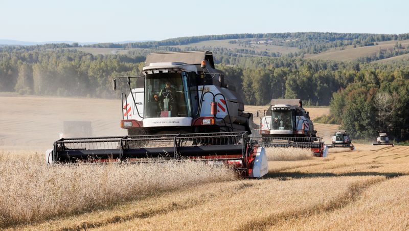 Экспортные цены пшеницы РФ снизились на прошлой неделе