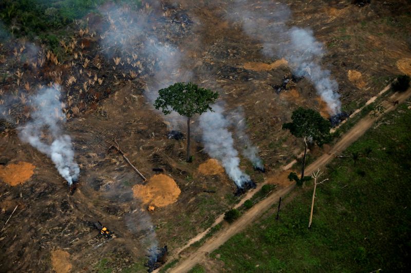 © Reuters. FILE PHOTO: An aerial view shows a deforested plot of the Amazon near Porto Velho