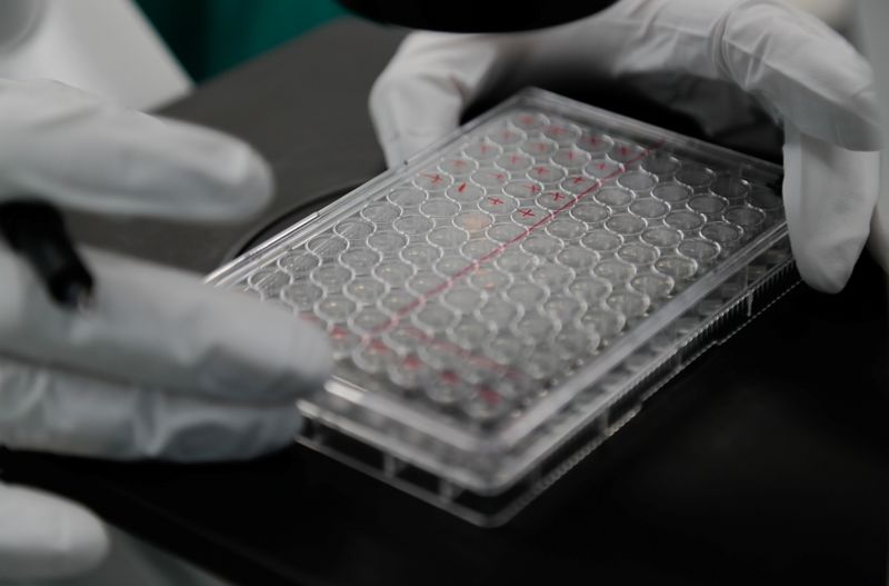 &copy; Reuters. Ученый изучает инфицированные клетки во время исследований для поиска вакцины от коронавируса в лаборатории компании BIOCAD в Санкт-Петербу