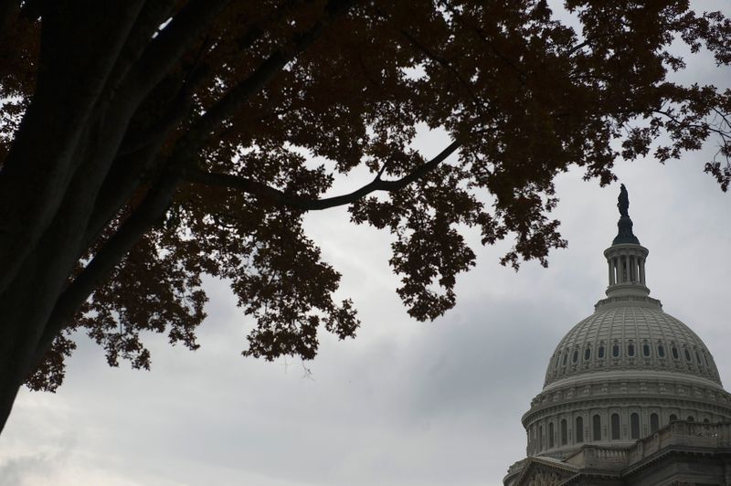 &copy; Reuters. FILE PHOTO:  A view of the U.S. Capitol dome in Washington