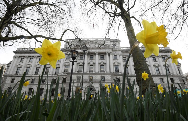 &copy; Reuters. FILE PHOTO: Daffodils are seen flowering near the Treasury building in London, Britain