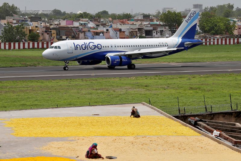 indigo airlines bolsagage