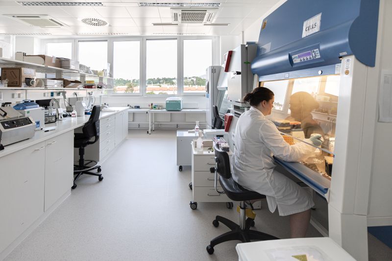 © Reuters. A scientist is seen in the Themis Bioscience laboratory in Vienna