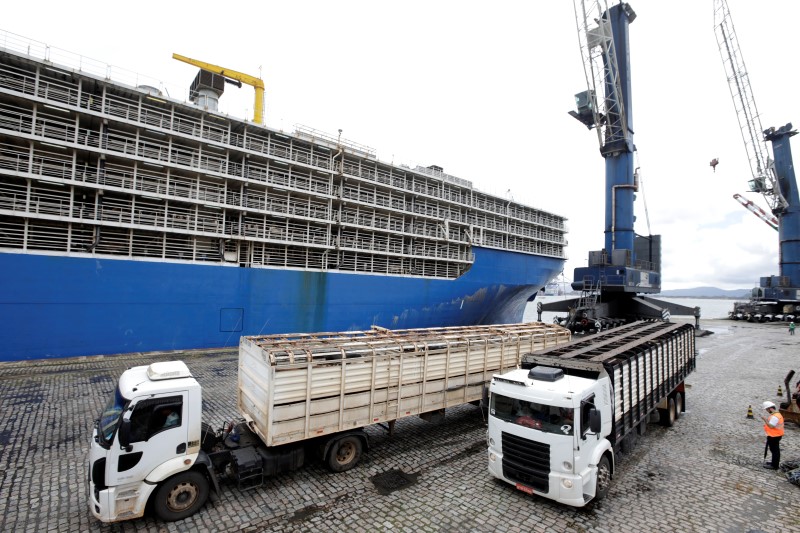 © Reuters. Caminhões na área do porto de Santos, SP