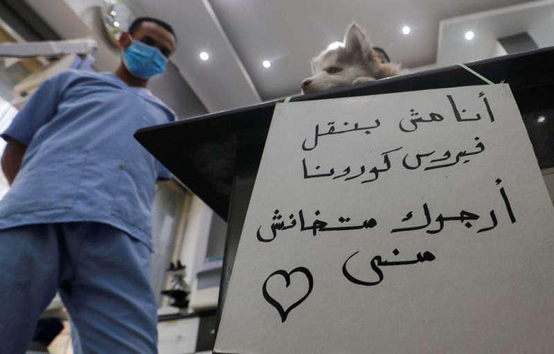 &copy; Reuters. Veterinary clinic encourages people not to abandon their pets, amid concerns about the spread of the coronavirus disease (COVID-19), in Cairo