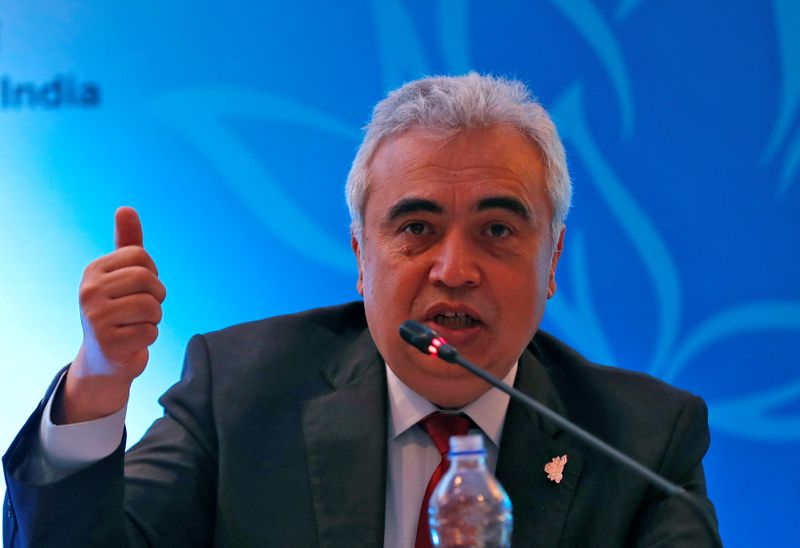 &copy; Reuters. FILE PHOTO: Fatih Birol, Executive Director of the International Energy Agency, speaks with the media during International Energy Forum in New Delhi